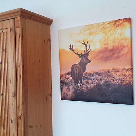 Haus Angelika Lägenhet Ehrwald Exteriör bild